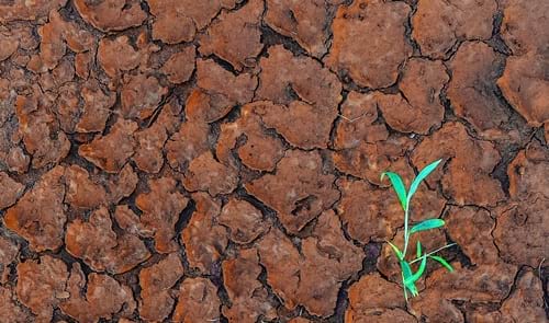 Guia de lectura. Canvi climàtic i desertificació
