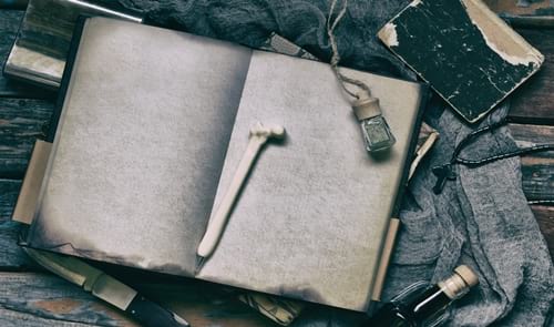 La literatura de l’estranyesa