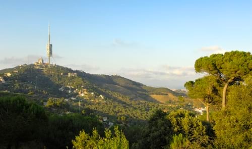 Guia de lectura : Collserola