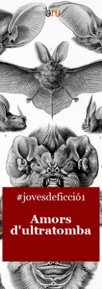 Amors d'ultratomba (#jovesdeficció1)