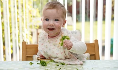 Alimentació infantil