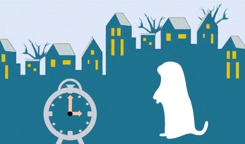 El Dia de la Marmota