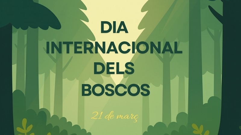 Celebrem el Dia Internacional dels Boscos