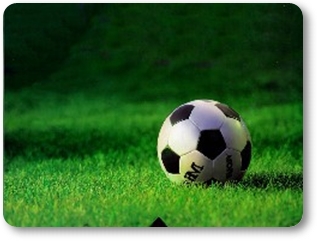 Curses i partits : L'esport de competició