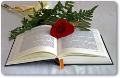 Guia de les biblioteques de l'Anoia: Joves lectors, llibres infantils i juvenils d'autors de l'Anoia