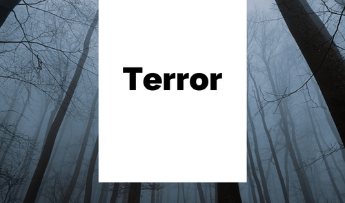 Terror