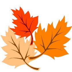 Ha arribat la tardor...