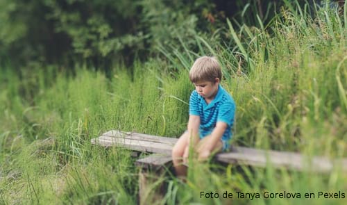 El divorci i els fills i les filles