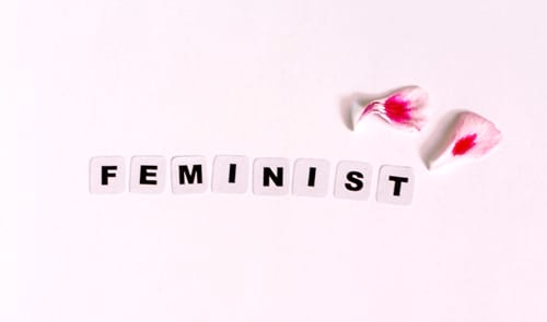 Feminisme: Assaig, biografia i novel·la