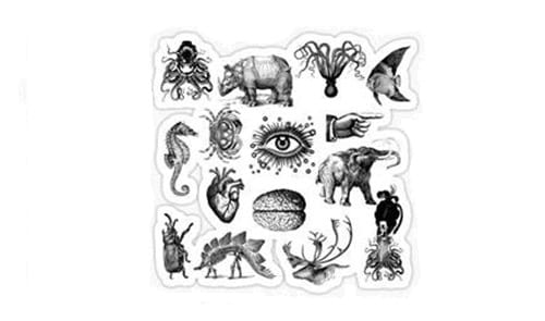 Gabinet de curiositats