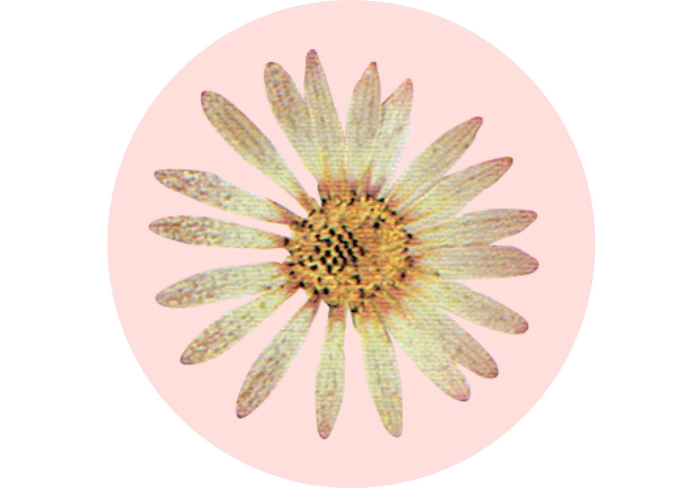 Salut i Vida Natural