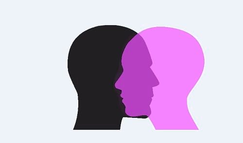 Fons especial Gènere i Feminismes