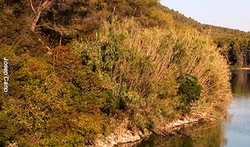 Centre de Documentació del Parc del Foix