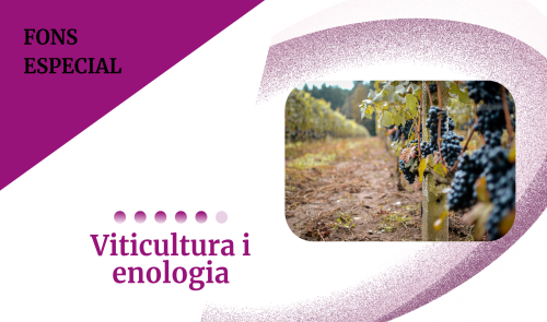 Viticultura i Enologia