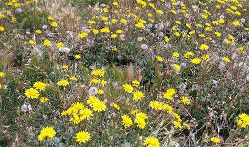 Portada Parc del Garraf