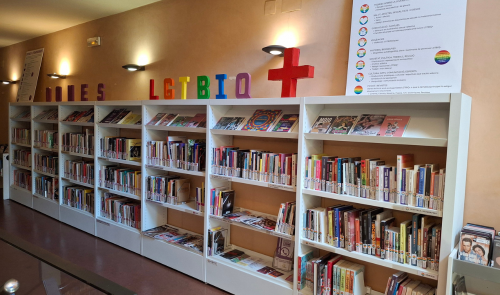 Fons especial Dones i feminismes i LGTBIQ+