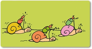 Curiositats esportives