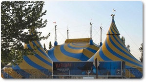 El Circ i els pallassos