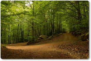 Parc Natural del Montseny