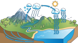 El cicle de l'aigua i els beneficis de la pluja