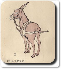 Platero