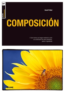  Composición