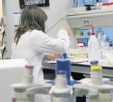 Instituto Química Molecular Aplicada