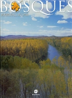  Bosques monumentales de España