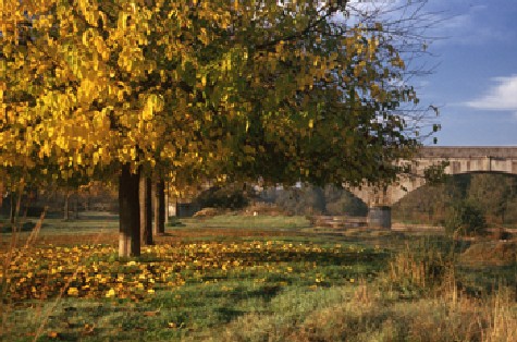 Paisaje de otoño