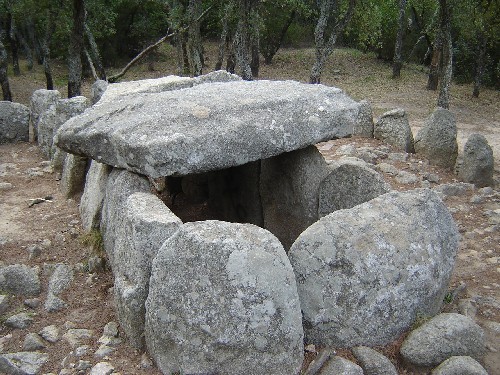 Cova d'en Daina (Baix Empordà)